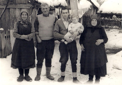v14.jpg