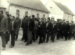 ve4.jpg