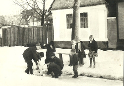 ve6.jpg