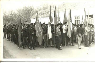 1f.jpg