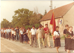 1c.jpg