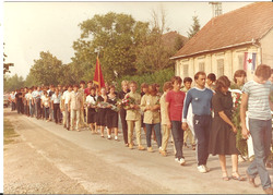 1e.jpg