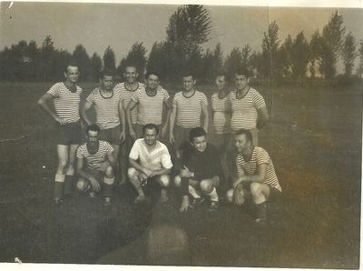 ve12.jpg