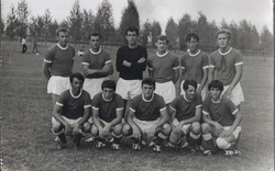 sok91.jpg