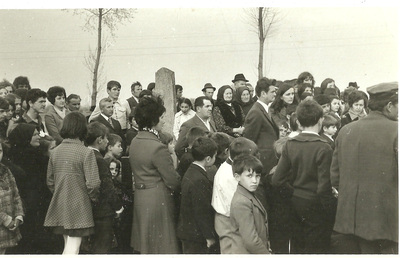 p3.jpg