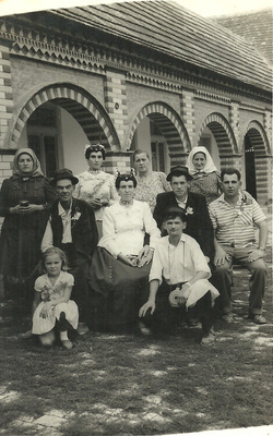 p33.jpg