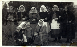 p11.jpg