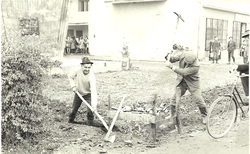 p25.jpg