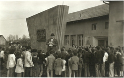 p27.jpg