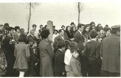 p3.jpg