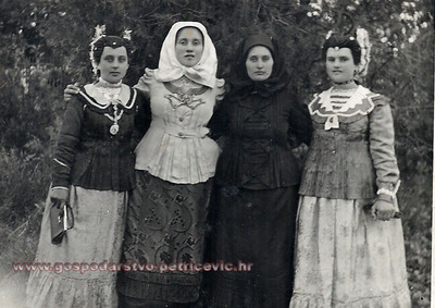 336v.jpg