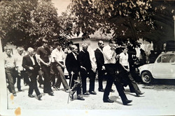 d5.jpg