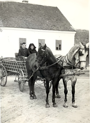 kremer13.jpg