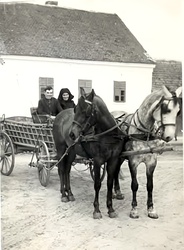 kremer13.jpg